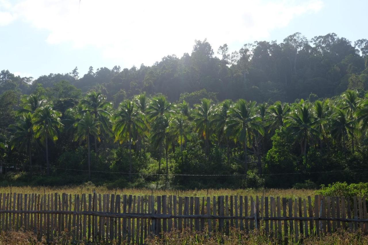 Palayan Paradise Huts San Vicente  Buitenkant foto